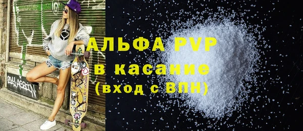 мдпв Ельня