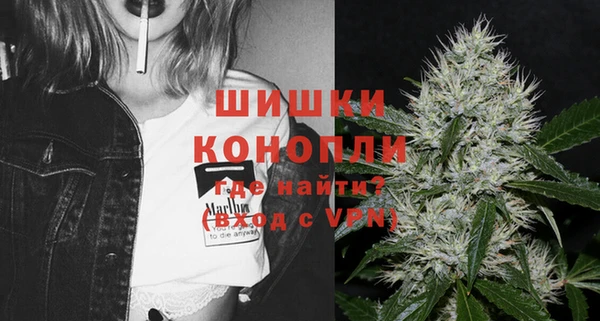 бошки Алексин