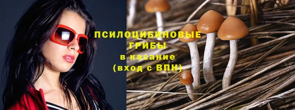 бошки Алексин