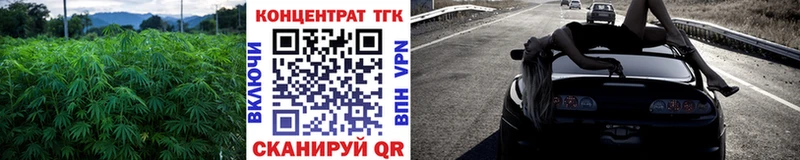 купить  цена  Аргун  Дистиллят ТГК вейп с тгк 