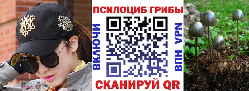 Псилоцибиновые грибы Magic Shrooms Аргун